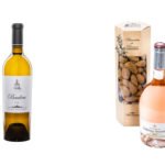 DDalmasso-Vignobles-Portfolio-27
